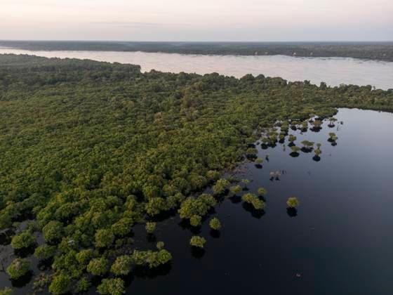 Beautiful aerial view to amazon rainforest islands in Anavilhanas Novo Airão, Amazonas, Brazil R_GNUJ251121H-1897936-01
