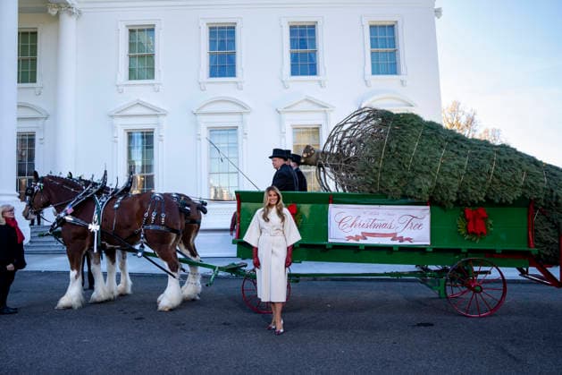 First Lady Melania Trump welcomes the official 2025 White House Christmas Tree outside the White House in Washington, DC on Monday, November 24, 2025. The tree comes from Korson s Tree Farms in Michigan and is the first Grand Champion of the National Christmas Tree Association s National Tree Contest from the state since 1985.  WAP20251124300 BONNIExCASH