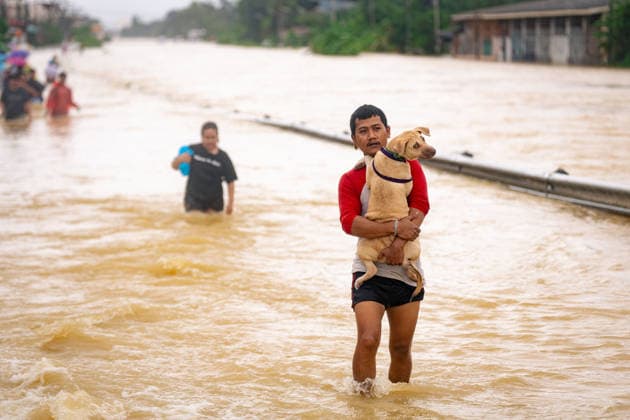(251126) -- SONGKHLA, Nov. 26, 2025 -- A man holding his pet dog wades through flood in the suburb of Hat Yai, Songkhla province, Thailand, Nov. 25, 2025. Thailand s Prime Minister Anutin Charnvirakul declared a state of emergency in Songkhla province on Tuesday as severe flooding ravaged the southern region. The monsoon-driven floods have impacted nine provinces in Thailand s southern region, specifically, affecting millions of people and resulting in casualties across the provinces. (SpotNews) THAILAND-SONGKHLA-FLOOD-AFTERMATH SunxWeitong 