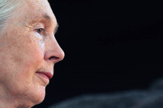 September 4, 2007, Brasilito, Guanacaste, Costa Rica: In this 2007 file photo, JANE GOODALL (1934-2025) visits an American school in Costa Rica s Pacific coast to promote her Roots & Shoots conservation program. The program encourages young people to undertake projects related to animals, the environment, and their communities. Dr Goodall was known for more than six decades of groundbreaking field research on the life of wild chimpanzees at the Gombe Stream National Park in Tanzania. Brasilito Costa Rica - ZUMAd225 20070904_znp_d225_001 Copyright: xZoraidaxDiazx