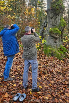 Nature Art: Burkhard Schubert, Tschiponnique Skupin und Model Tatjana Heinz beim Herbst Photoshooting im Klütwald. Hameln, 26.11.2025 - Bodyart-Künstler: Jörg Düsterwald