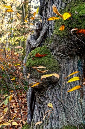 Nature Art: Herbst Bodypainting und Photoshooting mit Model Tatjana Heinz im Klütwald. Hameln, 26.11.2025 - Bodyart-Künstler: Jörg Düsterwald