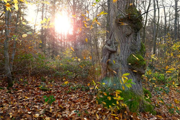 Nature Art: Herbst Bodypainting und Photoshooting mit Model Tatjana Heinz im Klütwald. Hameln, 26.11.2025 - Bodyart-Künstler: Jörg Düsterwald