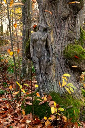 Nature Art: Herbst Bodypainting und Photoshooting mit Model Tatjana Heinz im Klütwald. Hameln, 26.11.2025 - Bodyart-Künstler: Jörg Düsterwald