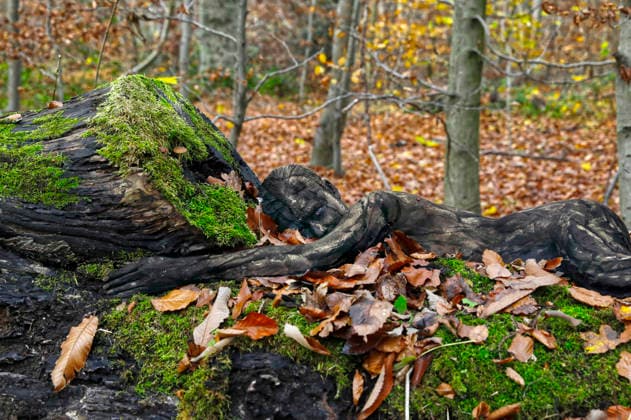 Nature Art: Herbst Bodypainting und Photoshooting mit Model Tatjana Heinz im Klütwald. Hameln, 26.11.2025 - Bodyart-Künstler: Jörg Düsterwald