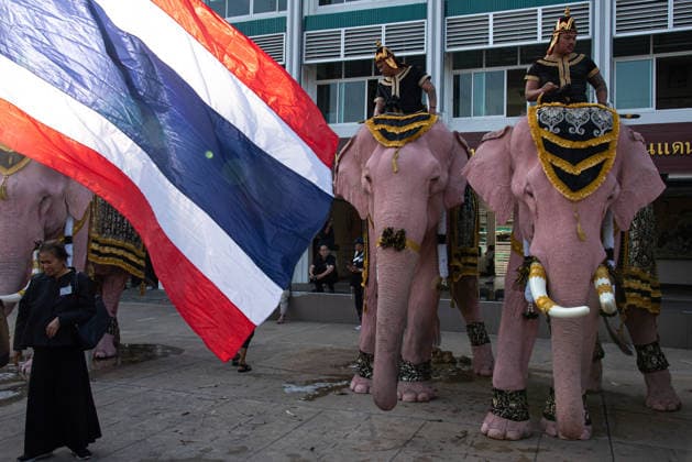 November 27, 2025, Bangkok, Thailand: Mahouts and the elephants gesture before marching to pay respect to the Queen Mother Sirikit outside the Royal Grand Palace in Bangkok. Mahouts and the elephants from Ayutthaya Elephant Palace travel from Ayutthaya to Bangkok to pay respect for the Queen Mother Sirikit at the Royal Grand Palace in Bangkok. The Queen Mother Sirikit died at the age of 93 on 24 October 2025 at the Chulalongkorn Hospital. Bangkok Thailand - ZUMAs197 20251127_aaa_s197_001 Copyright: xPeeraponxBoonyakiatx