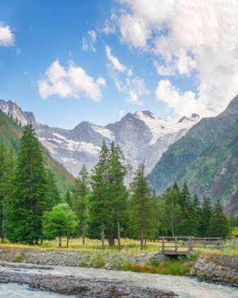 Tannenbäume und ein Bach in Valnontey und Gran Paradiso im Hintergrund. Aosta-Tal, Italien Fir forest and a stream in Valnontey and the Gran Paradiso massif in the background. Aosta valley, Italy (License=RF) Copyright: xZoonar.com StefanoxOrazzinix 24270929