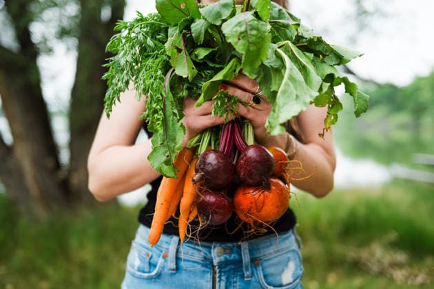 Close-up of hands holding fresh carrots and beets with greens Denver, Colorado, United States R_BQMG251126-1864572-01 ,model released, Symbolfoto