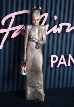 December 1, 2025, London, United Kingdom: Daphne Guinness attends The Fashion Awards 2025 presented by Pandora at the Royal Albert Hall. London United Kingdom - ZUMAs197 20251201_aaa_s197_063 Copyright: xFredxDuvalx