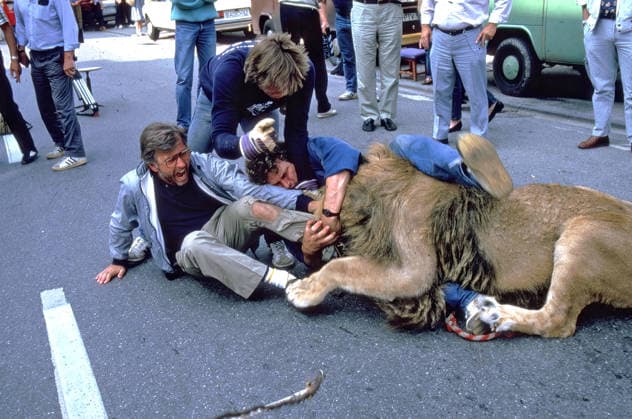 ARCHIV: Hans-Jürgen Tögel Regisseur Hans-Jürgen Tögel mit Tiertrainer Joe Bodemann am Rande von Dreharbeiten zur zur Folge Die fromme Lüge der ZDF-Serie Die Schwarzwaldklinik , 1984 Tögel wurde während der Dreharbeiten vom Filmlöwen Ken in die Wade gebissen und per Helikopter in eine reale Klinik geflogen. Das Bein konnte gerettet werden, Tögel drehte hinter Gittern weiter. SERIE: Bild 4 7 ARCHIVAUFNAHME, Datum geschätzt 20251115JWM0108 *** ARCHIVE Hans Jürgen Tögel Director Hans Jürgen Tögel with animal trainer Joe Bodemann on the sidelines of filming for the episode Die fromme Lüge of the ZDF series Die Schwarzwaldklinik , 1984 Tögel was bitten in the calf by the film lion Ken during filming and flown by helicopter to a rea