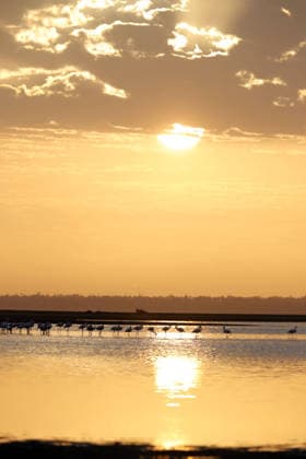 Egypt s Qarun Lake hosts migrating flamingos FAIYUM, EGYPT - DECEMBER 06: Flamingos migrating to warmer regions as the weather cools are seen in the Qarun Lake on December 06, 2025 in Faiyum, Egypt. The lake, which is one of the important stopping points for migratory birds, is hosting flamingos this year as it does every year. Fareed Kotb Anadolu Faiyum Egypt. Editorial use only. Please get in touch for any other usage.  Copyright: x2025xAnadoluxFareedxKotbx