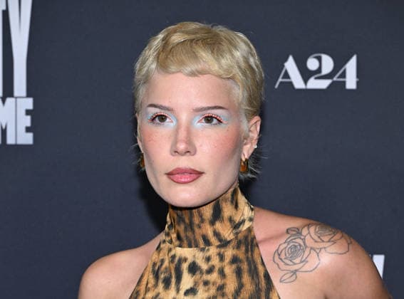 ˜Marty Supreme™ Los Angeles Premiere Halsey arriving to the Los Angeles premiere of Marty Supreme™ at the Samuel Goldwyn Theater on December 8, 2025 in Beverly Hills, Ca. Beverly Hills Samuel Goldwyn Theater California USA Copyright: xLisaxOConnor xAFF-USA.COMx