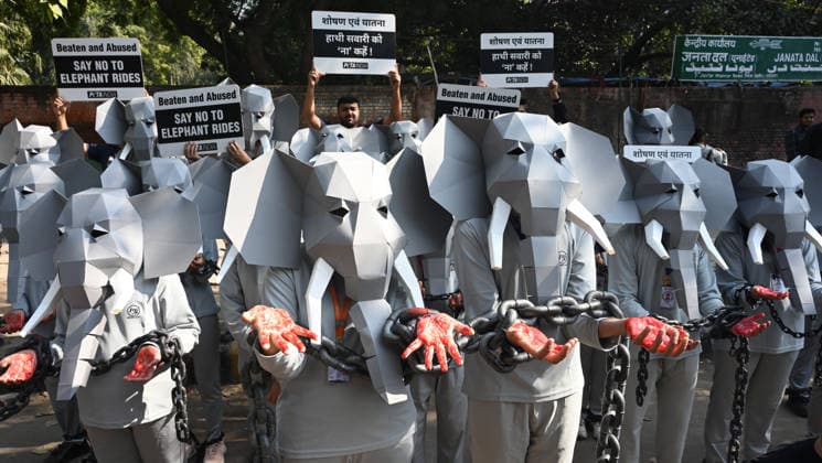 NEW DELHI, INDIA - DECEMBER 9: Supporters of PETA India and GoSharpener, wearing geometric elephant masks and chains protest at Jantar Mantar against elephant rides December 9, 2025 in New Delhi, India. Elephant safaris have been resumed at Rajaji Tiger Reserve and Jim Corbett National Park in Uttarakhand after 7 year hiatus. Elephant rides at fort Amer in Jaipur continues despite objections from animal rights activists. (Photo by Sonu Mehta Hindustan Times) PETA India Protest Against Elephant Rides