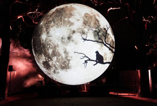 Illustration Exposition Lumières de la Nature au Jardin des Plantes à Paris le 9 décembre 2025 Anne Sophie Guebey Bestimage Kering Evening Event A Night at the Museum at the National Museum of Natural History in Paris on december 9th 2025 Paris France  Copyright: xAnne-SophiexGuebeyx xBestimagexAnne-SophiexGuebeyx xBestimagex