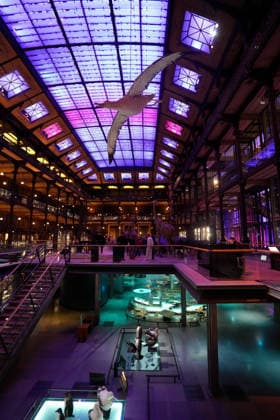 Illustration Kering Evening Event A Night at the Museum at the National Museum of Natural History in Paris on december 9th 2025 Anne Sophie Guebey Bestimage Kering Evening Event A Night at the Museum at the National Museum of Natural History in Paris on december 9th 2025 Paris France  Copyright: xAnne-SophiexGuebeyx xBestimagexAnne-SophiexGuebeyx xBestimagex