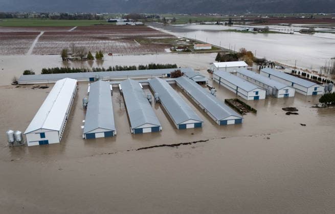 December 11, 2025, Vancouver, Bc, CANADA: Buildings on Jem Farms flooded near the Sumas border crossing in Abbotsford B.C., on Thursday, December 11, 2025. Vancouver CANADA  - ZUMAc35_ 20251211_zaf_c35_053 Copyright: xEthanxCairnsx