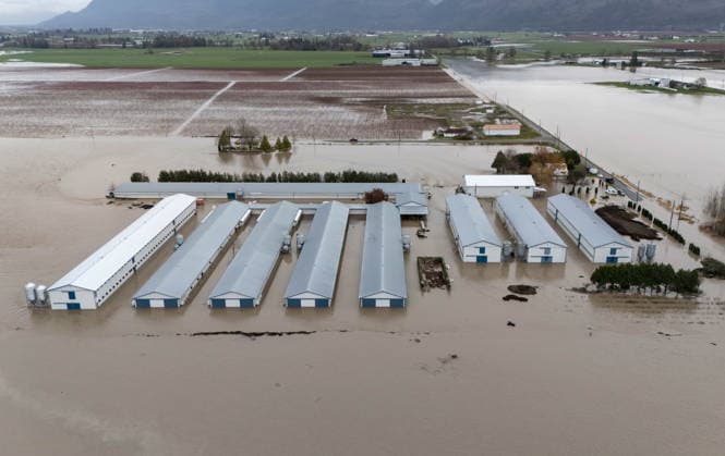 News Bilder des Tages December 11, 2025, Vancouver, Bc, CANADA: Buildings on Jem Farms flooded near the Sumas border crossing in Abbotsford B.C., on Thursday, December 11, 2025. Vancouver CANADA  - ZUMAc35_ 20251211_zaf_c35_052 Copyright: xEthanxCairnsx