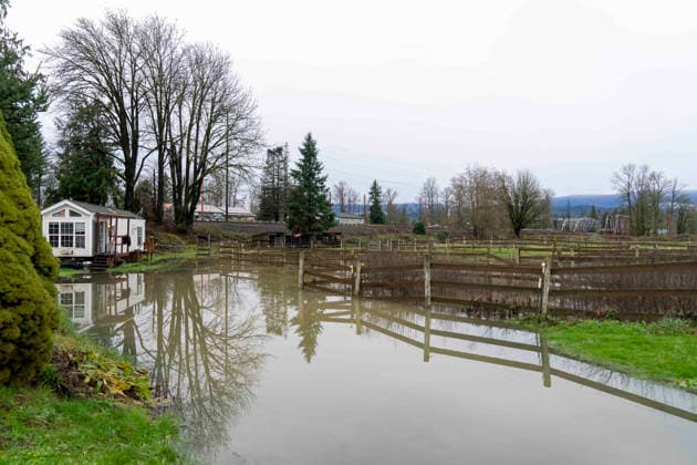 December 11, 2025, Sultana, Washington, USA: Flood water from the overflowing Skykomish River inundates a farm near Sultana, Washington, USA, on Thu., Dec. 11, 2025, after a trio of atmospheric rivers drenched the region. Forecasts said that many rivers in the Pacific Northwest would reach catastrophic flood levels and the governor has declared a state of emergency. Sultana USA - ZUMAb344 20251211_znp_b344_011 Copyright: xM.xScottxBrauerx