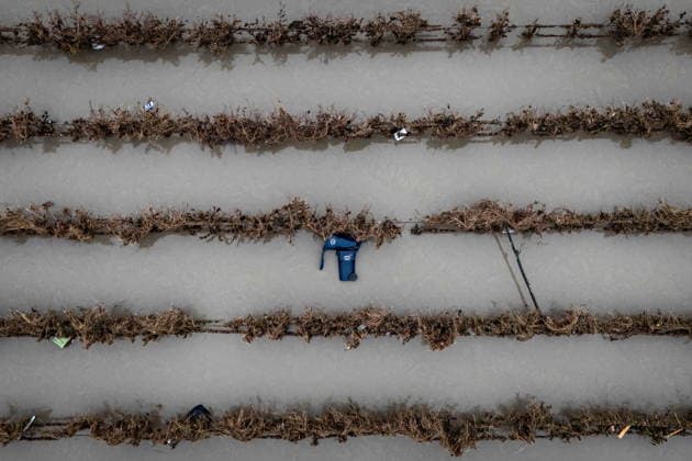 December 12, 2025, Abbotsford, Bc, CANADA: Trash bins are caught in a field after flooding in Abbotsford, B.C., Friday, Dec. 12, 2025. Abbotsford CANADA  - ZUMAc35_ 20251212_zaf_c35_048 Copyright: xEthanxCairnsx