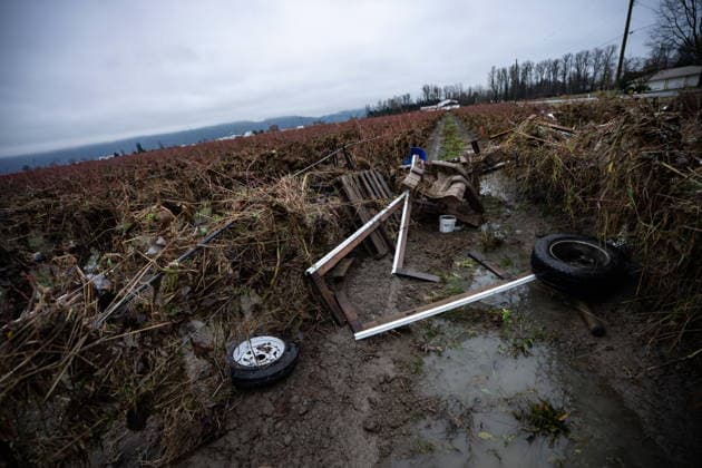 December 12, 2025, Abbotsford, Bc, CANADA: Debris is caught in a field after flooding in Abbotsford, B.C., on Friday, Dec. 12, 2025. Abbotsford CANADA  - ZUMAc35_ 20251212_zaf_c35_074 Copyright: xEthanxCairnsx