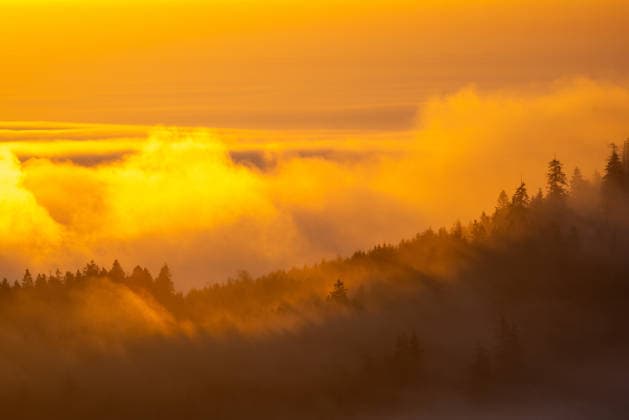 Sonnenaufgang über dem Nebel Die Sonne geht vom Großen Feldberg im Taunus aus gesehen über dem Nebel auf., Schmitten Hessen Deutschland *** Sunrise over the fog The sun rises over the fog as seen from the Großer Feldberg in the Taunus mountains , Schmitten Hessen Germany