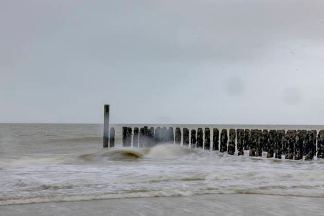 Poller mit Muscheln und Seetang Algen besetzt Horizont Weite Strandspaziergang am Meer Nordsee See Licht diesig bewölkt Sand Wellen Wasse Salzwasser salzige Luft Wind böig am Strand von Domburg Niederlande NL Datum: 06.12.2025 *** Bollard covered with shells and seaweed algae horizon wide beach walk by the sea North Sea sea light hazy cloudy sand waves water salt water salty air wind gusty on the beach of Domburg Netherlands NL date 06 12 2025