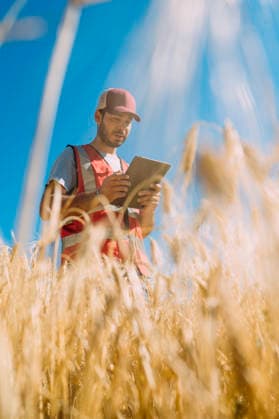 MR_ID30811_22952_LorenzoGonzalez.jpg A farmer inspects fields with a tablet in Guadalajara, Spain, showcasing the integration of technology in modern agriculture under a clear blue sky surrounded by golden crops. Model Released JoseLuisCarrascosa_ID30811_1043760_056 Copyright: xJosexLuisxCarrascosax