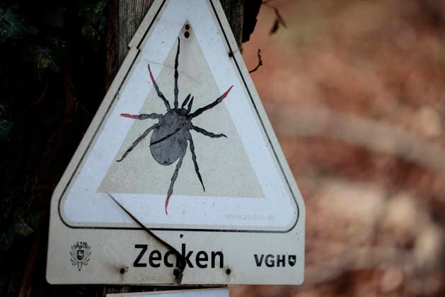 Achtung Zecken - Ein kaputtes und stark verwittertes Warnschild der VGH Versicherung in Osnabrück-Atter warnt vor Zecken und den damit verbundenen Gefahren, aufgenommen am 16.12.2025 (Niedersachsen, Deutschland). Das Schild dient als klare Gesundheitswarnung vor Zeckenbissen (medizinisch korrekt wären Zeckenstiche) und den möglichen Folgen wie Borreliose oder FSME in Wald- und Wiesenbereichen. *** Attention Ticks a Broken and strong Verwittertes Warning sign the VGH Insurance in Osnabrück atter warns before Ticks and the So linked Dangers, included on 16 12 2025 Lower Saxony, Germany the Shield serves as clear Health warning before Tick bites medical correct would be Tick u200b u200bbites and the possible Consequences like Lyme disea