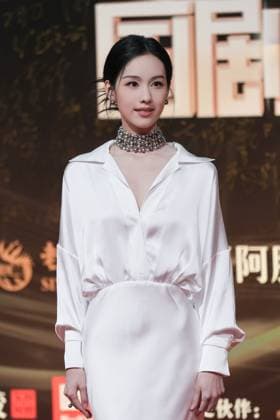 LANGFANG, CHINA - DECEMBER 16: Actress Chen Duling arrives at the red carpet of the Domestic TV Series Ceremony (China TV Drama Awards) on December 16, 2025 in Langfang, Hebei Province of China.  Copyright: xVCGx 111610177074