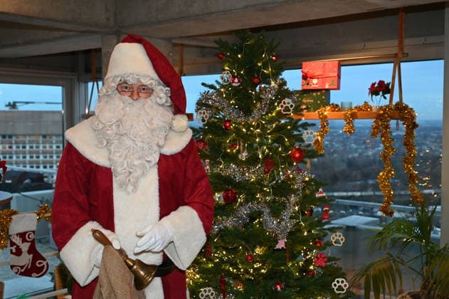 Weihnachtmann, Geschenke, Weihnachtsbaum bei der Vorstellung von Hundeplätzchen alla Stefano Zarrella un Biscotto per Naturale in Kooperation mit dem Premium Hundefutter Hersteller Animonda
