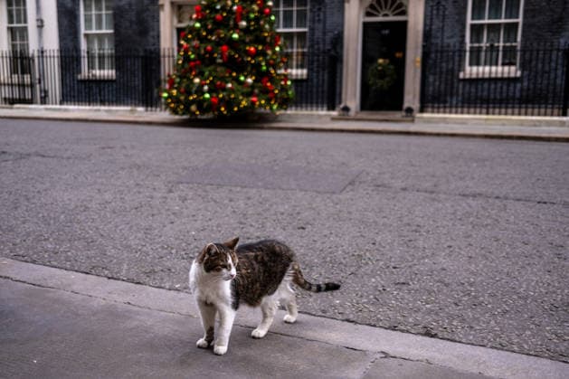 Daily Life in London Larry the cat, Chief Mouser of the Cabinet at 10 Downing Street on December 17, 2025 in London, United Kingdom. (Photo by Vernon Yuen Nexpher Images) London