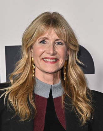 Searchlight Pictures™ ˜Is This Thing On?™ Premiere Laura Dern arriving at Searchlight Pictures™ Is This Thing On? Los Angeles premiere held at Vidiots on December 18, 2025 in Los Angeles, CA. Los Angeles Vidiots California USA Copyright: xStarbuck xAFF-USA.COMx
