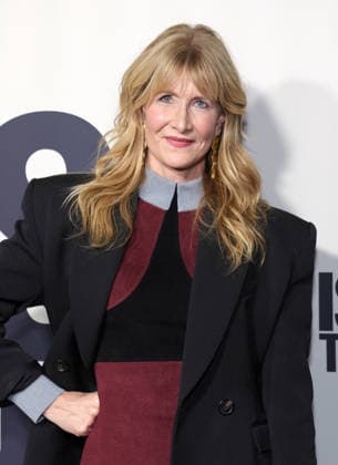 Red carpet Los Angeles premiere of Searchlight Pictures Is This Thing On? at Vidiots Featuring: Laura Dern Where: Los Angeles, California, United States When: 18 Dec 2025 Credit: Faye s Vision Cover Images EDITORIAL USE ONLY. NOT FOR USE BY NEWSPAPERS BASED IN THE UK. Copyright: xx coverimg55347393