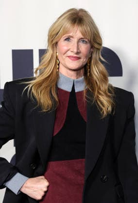 Los Angeles Premiere Of Searchlight Pictures Is This Thing On? 18 December 2025 . Los Angeles, California - Laura Dern At Los Angeles Premiere Of Searchlight Pictures Is This Thing On? held at Vidiots in Los Angeles., Credit:Sadou Faye Avalon United States, CA, Los Angeles, Vidiots  Copyright: xSadouxFayex xAvalonx 1060334778