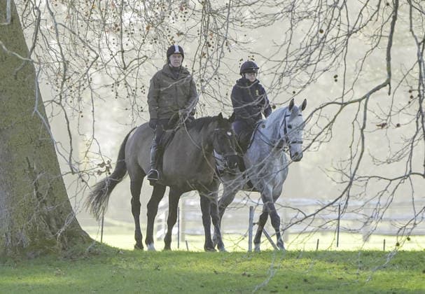 Andrew Windsor out horse riding in Windsor Andrew Windsor out horse riding in Windsor this morning. The US Justice Department is scheduled to release thousands of documents regarding Jeffrey Epstein later today - including some that may detail correspondence with the disgraced former Duke of York. 19.12.2025  Copyright: xChrisxEadesx NINTCHDBPICT001046801698