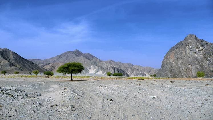 Weite Wüstenlandschaft mit Bergen, Bäumen und klarem blauen Himmel, Wadi, Brayka Bay, Ägypten Wide desert landscape with mountains, trees and clear blue sky, Wadi, Brayka Bay, Egypt Copyright: imageBROKER ag-pix ibxagg15982347.jpg