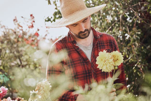 Man gardening with dahlia flower at London allotment on sunny day model released, Symbolfoto property released, PWF01536