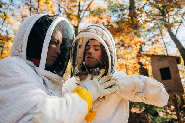 Beekeeper adjusts partner s veil in forest with fall colors North Andover, Massachusetts, United States CR_FKNH251215-1903055-01 ,model released, Symbolfoto