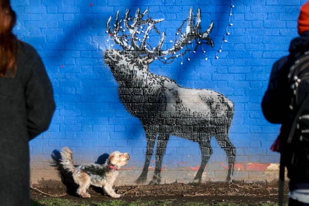 . 24 12 2025. London, United Kingdom. Rumoured Christmas Banksy. Stencil of a reindeer on a wall at London Fields rumoured to be a Christmas Banksy  xMartynxWheatleyx xi-Imagesx IIM-26473-0012