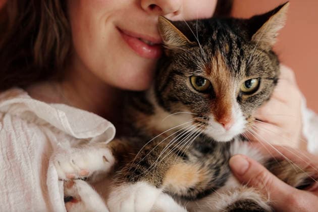 Woman hugging tabby cat in front of a warm terracotta wall , R_RTBZ251215A-1909202-01 ,model released, Symbolfoto