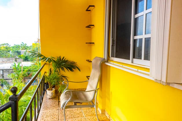 Balcony with armchair table and tropical plants palm trees Mexico. Playa del Carmen Quintana Roo Mexico 19. December 2024 Balcony with armchair table and tropical plants palm trees in Playa del Carmen Quintana Roo Mexico., 64767856.jpg RECORD DATE NOT STATED