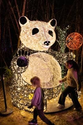 December 25, 2025, Bronx, New York, USA: People attend LUMAGICA Holidays light show at Yarkon Park in Tel Aviv, Israel on Christmas Day - December 25, 2025. Bronx USA - ZUMAr339 20251225_znp_r339_009 Copyright: xLevxRadinx