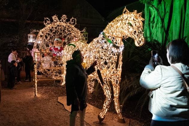 December 25, 2025, Bronx, New York, USA: People attend LUMAGICA Holidays light show at Yarkon Park in Tel Aviv, Israel on Christmas Day - December 25, 2025. Bronx USA - ZUMAr339 20251225_znp_r339_012 Copyright: xLevxRadinx