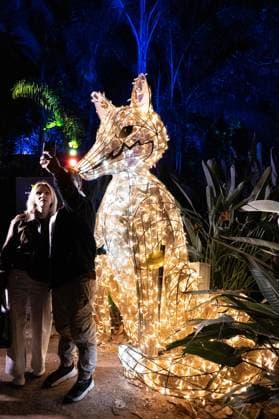 December 25, 2025, Bronx, New York, USA: People attend LUMAGICA Holidays light show at Yarkon Park in Tel Aviv, Israel on Christmas Day - December 25, 2025. Bronx USA - ZUMAr339 20251225_znp_r339_014 Copyright: xLevxRadinx