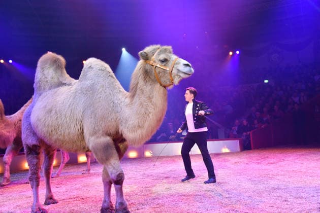 Alexis Lacey Show Premiere Winterspielzeit 2025 Circus Krone Ich. Du, Wir. Krone Manege Kronebau München 25. Dezember 2025