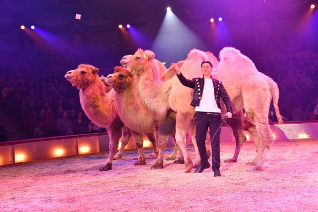 Alexis Lacey Show Premiere Winterspielzeit 2025 Circus Krone Ich. Du, Wir. Krone Manege Kronebau München 25. Dezember 2025