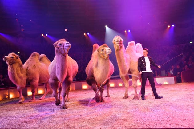 Alexis Lacey Show Premiere Winterspielzeit 2025 Circus Krone Ich. Du, Wir. Krone Manege Kronebau München 25. Dezember 2025
