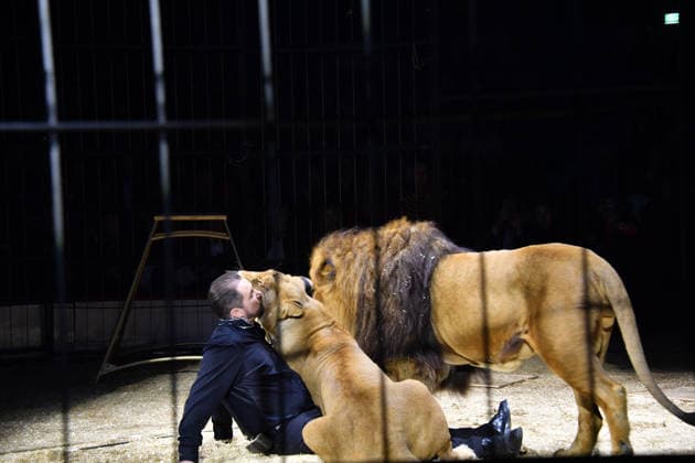 Martin Lacey jr. Show Premiere Winterspielzeit 2025 Circus Krone Ich. Du, Wir. Krone Manege Kronebau München 25. Dezember 2025