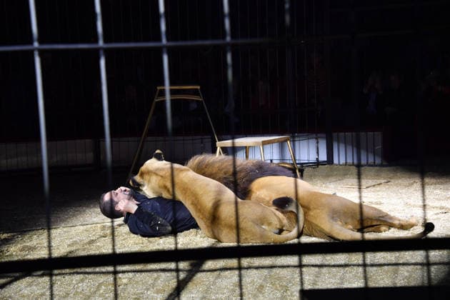 Martin Lacey jr. Show Premiere Winterspielzeit 2025 Circus Krone Ich. Du, Wir. Krone Manege Kronebau München 25. Dezember 2025