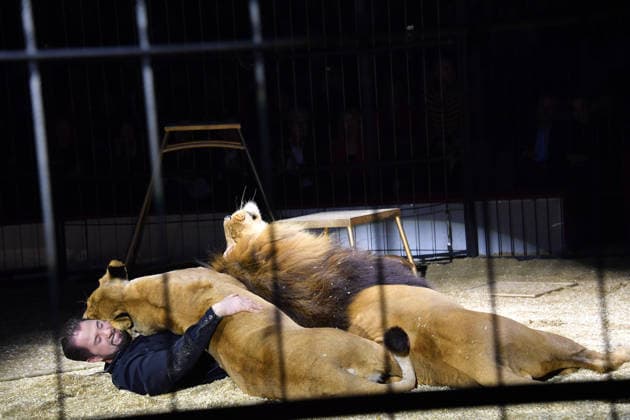 Martin Lacey jr. Show Premiere Winterspielzeit 2025 Circus Krone Ich. Du, Wir. Krone Manege Kronebau München 25. Dezember 2025